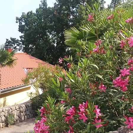 Oleandri A2 Mit Meerblickbalkon